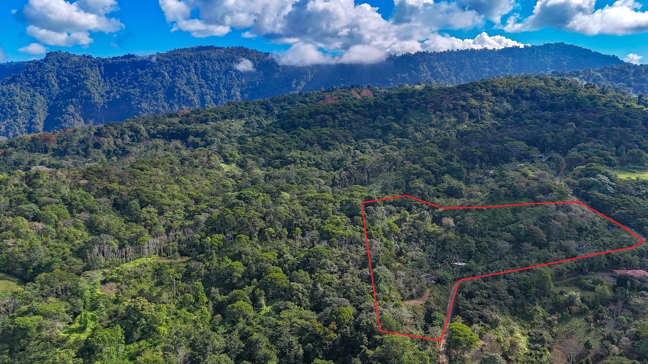 Tinamastes Costa Rica Property with Home, Yoga Deck & Land