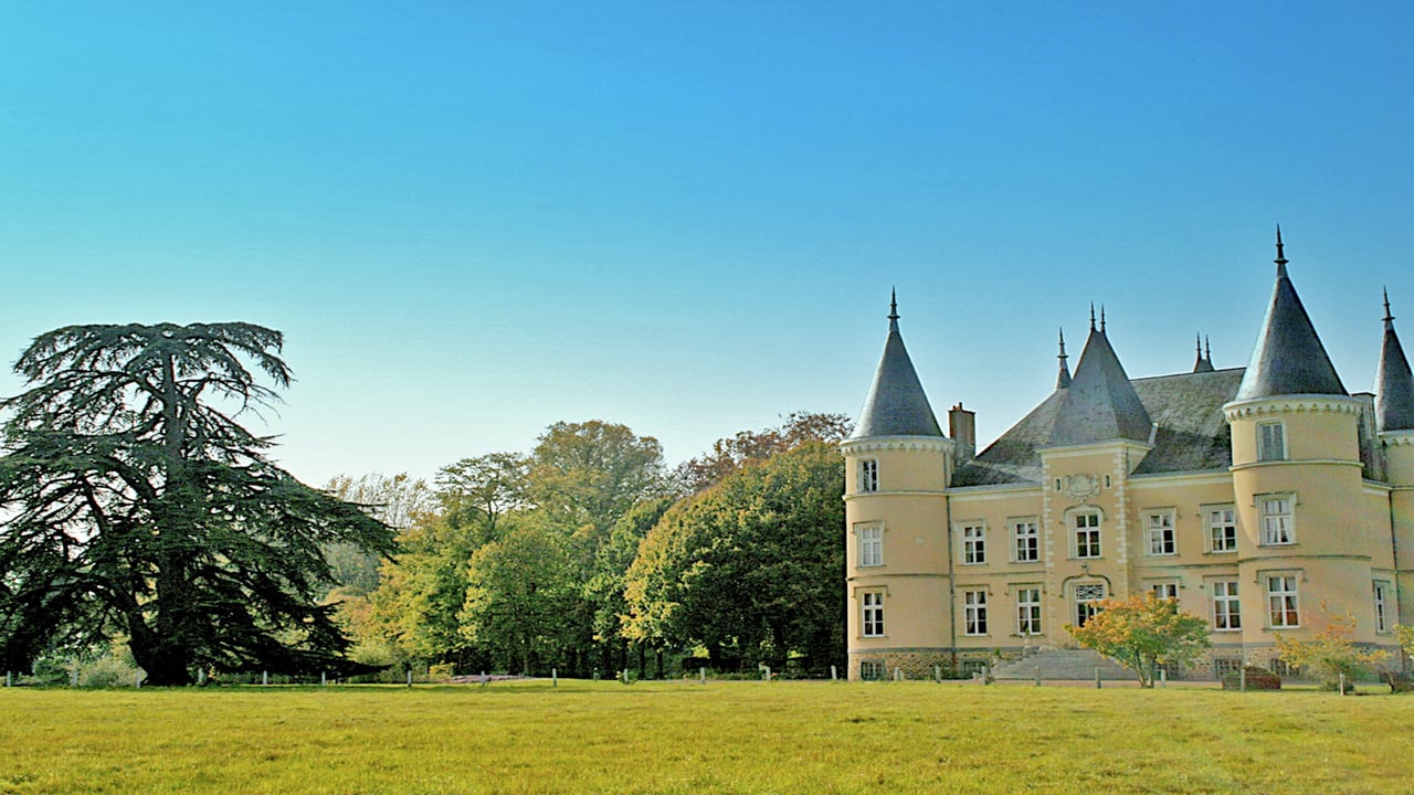 19th Century Fairytale Chateau in Loire Valley