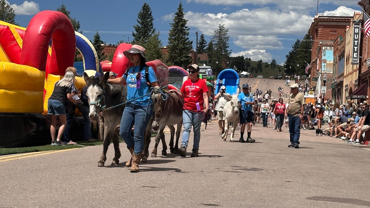 A Colorado Classic: Inside Cripple Creek’s Donkey Derby Days