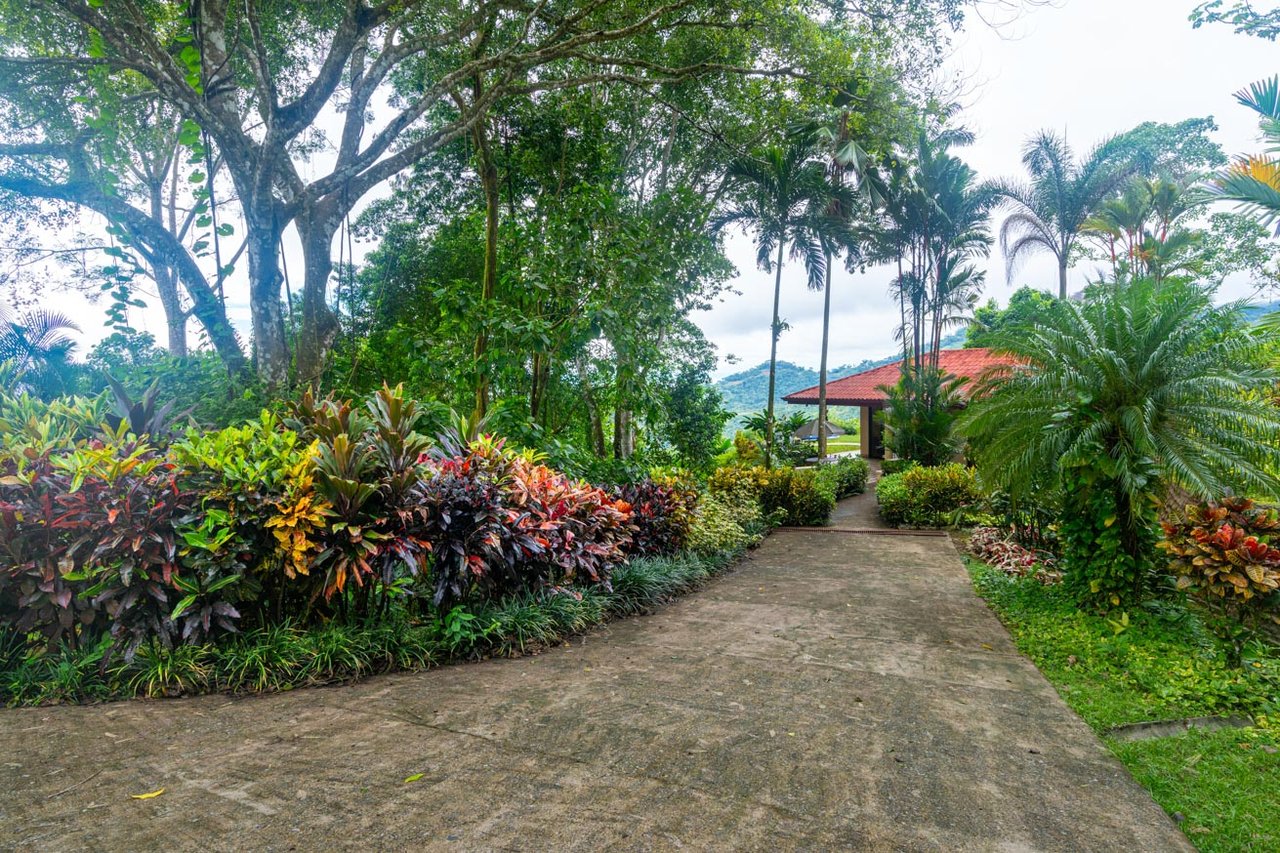 Ocean, jungle & mountain views on a meticulously landscaped 3-home family compound