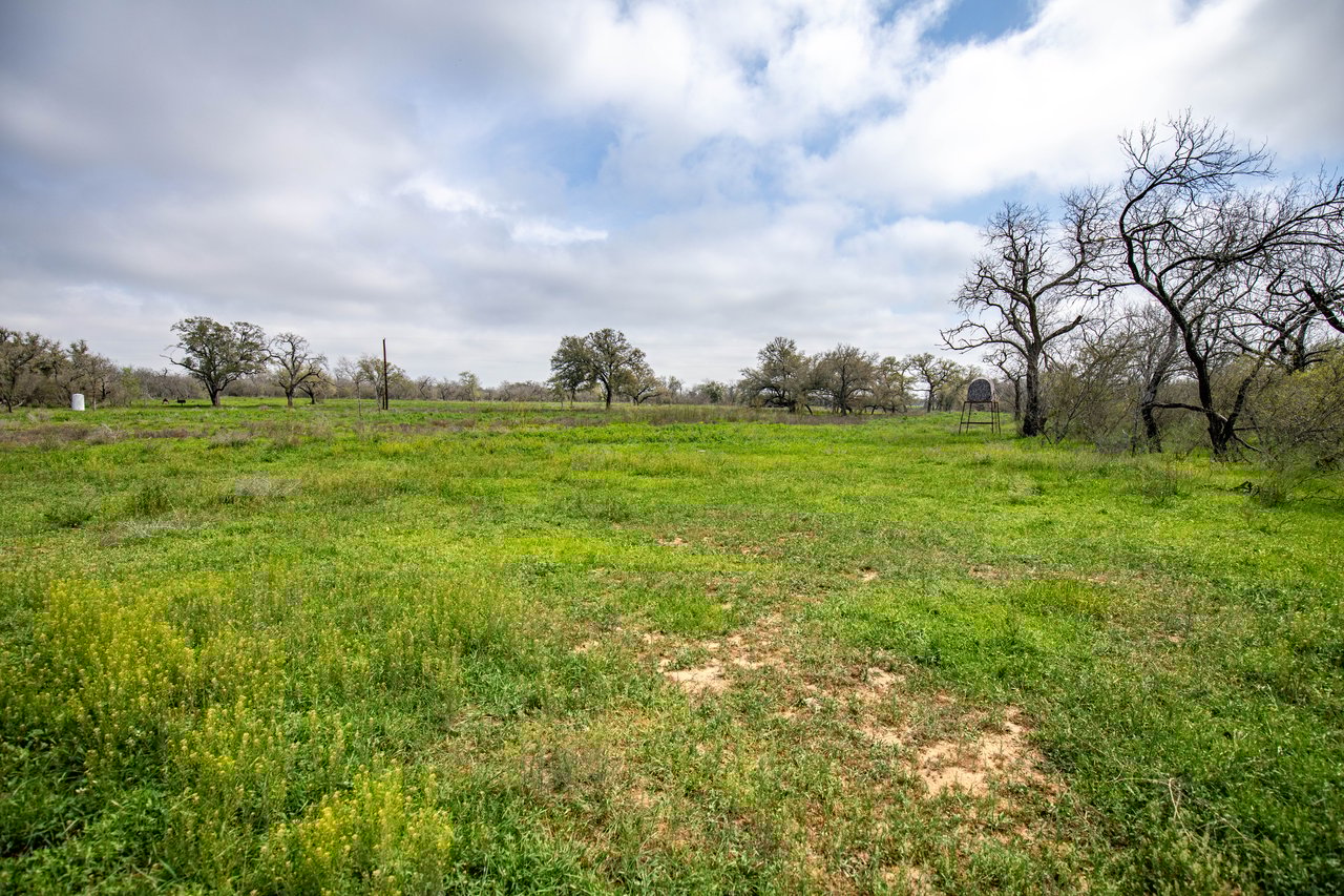 Dry Hollow Creek Ranch | 21.96± Acres | Bexar County