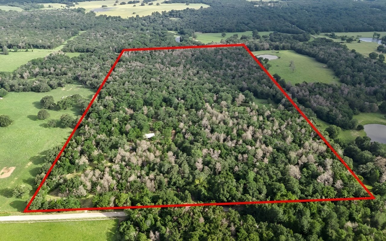 Hunting Land & Recreational Retreat for Sale in Bremond, TX – 37 Acres with Cabins & RV Hookups