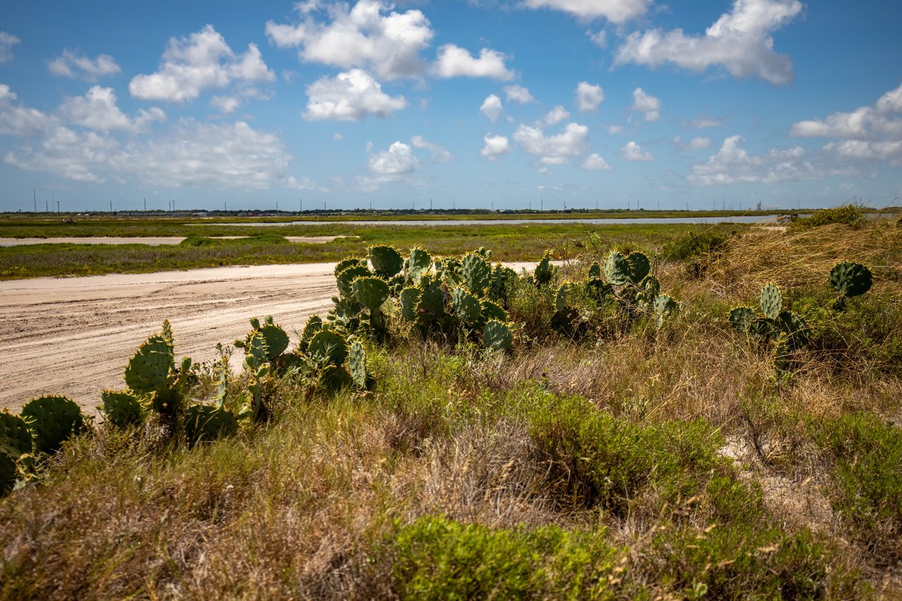 Cape Velero Drive 60 | Development Opportunity | 60± Acres | Rockport, TX