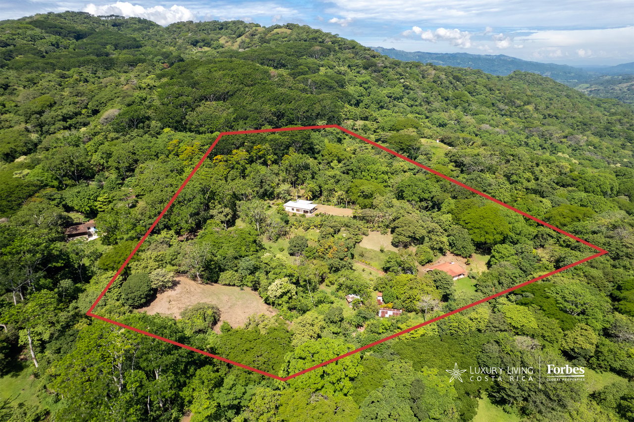 Aerial view of a forested property outlined in red, with several houses and clearings.