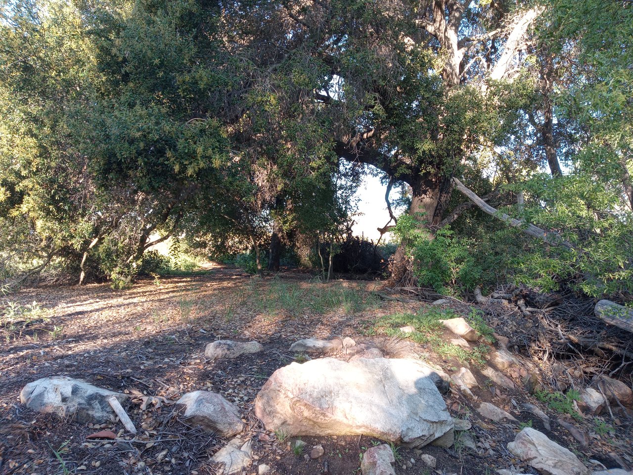 32725 Jerome Road