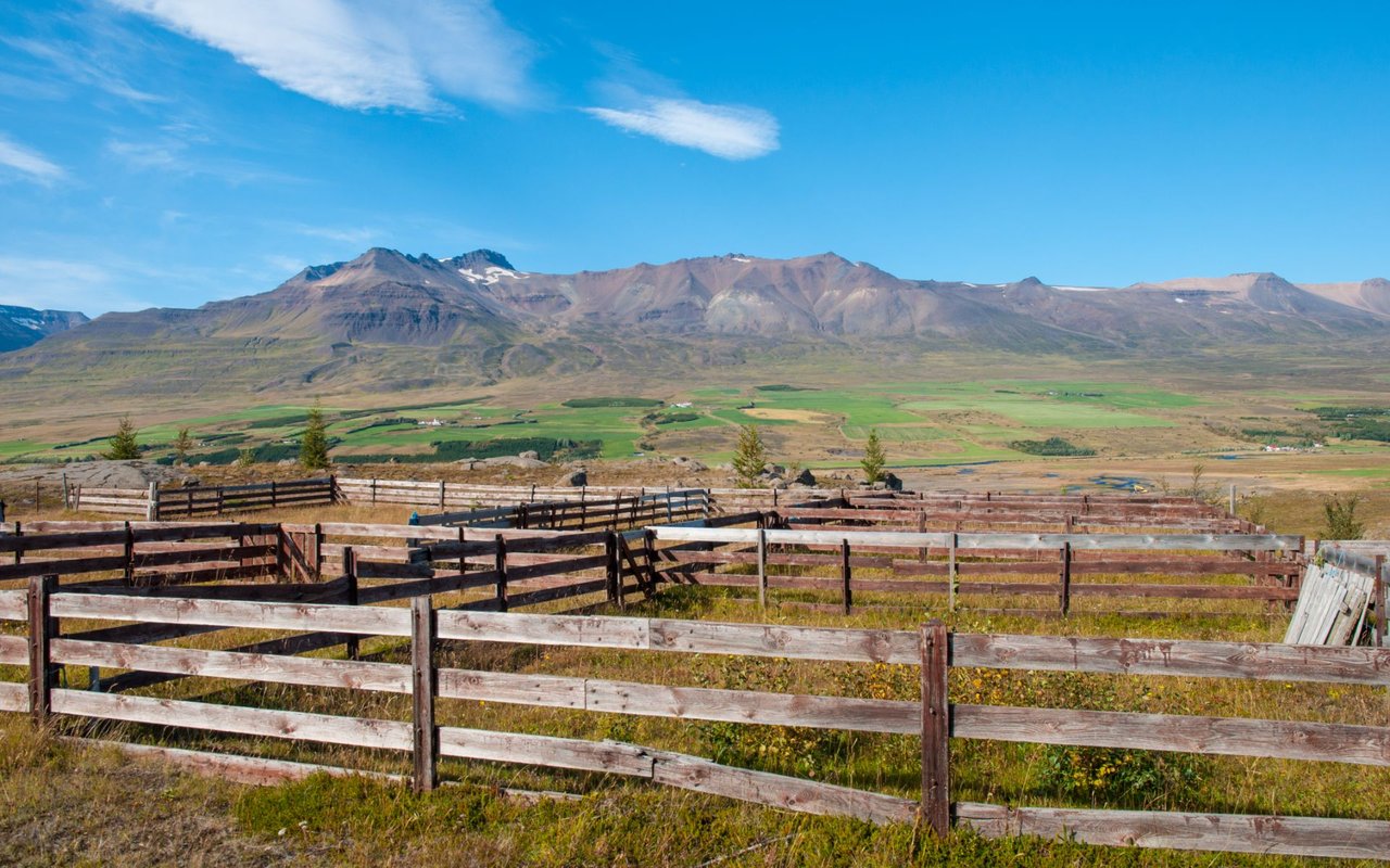 Damonte Ranch