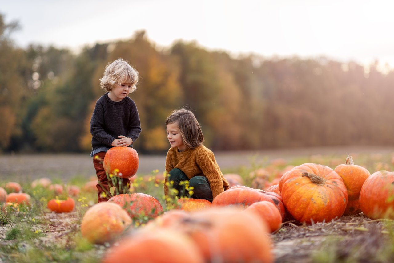 Things to do in DFW this October