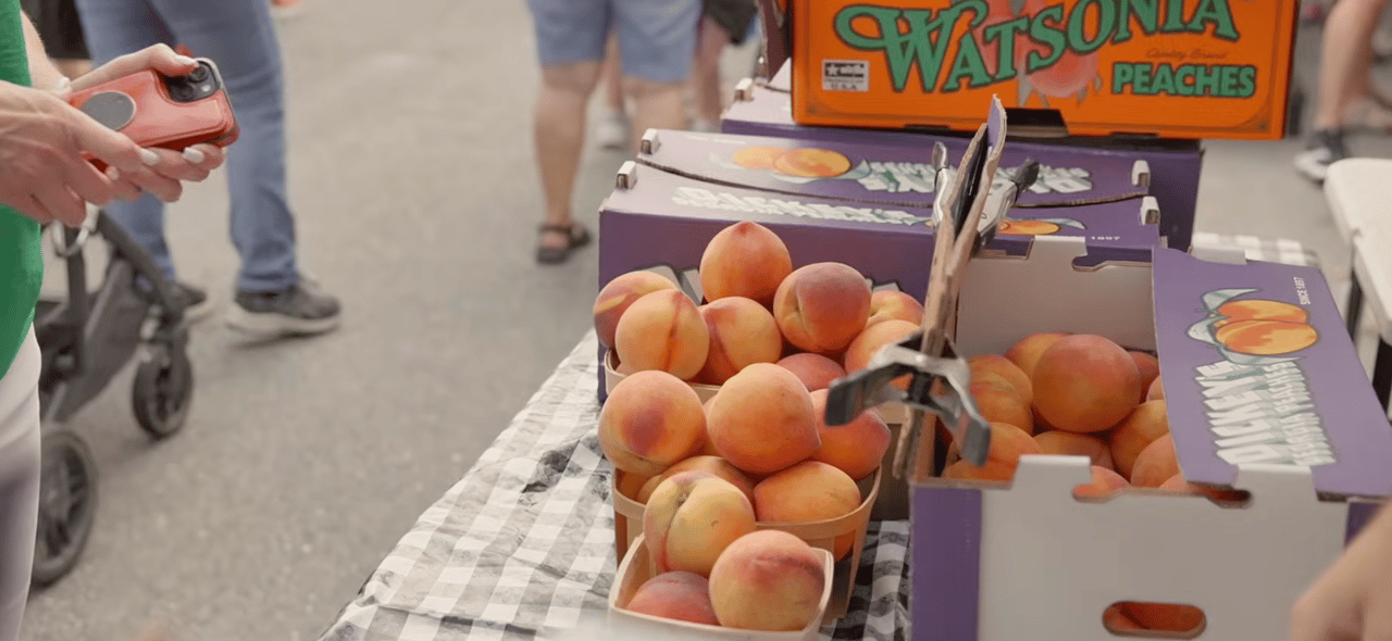  Why Everyone Loves The Peachtree City Farmers Market!
