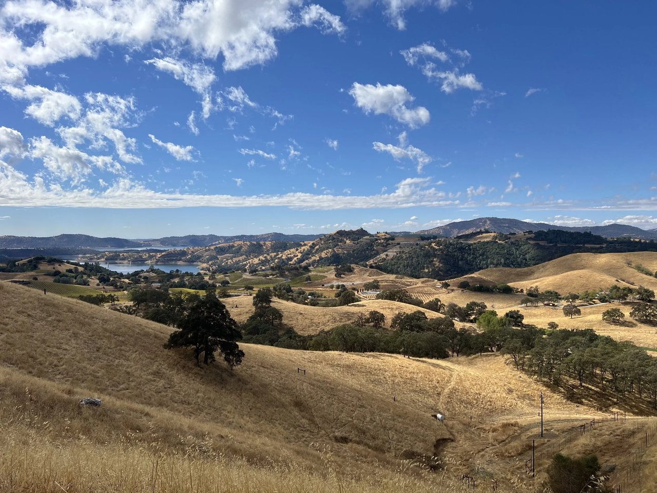 Get the Latest from Calaveras
