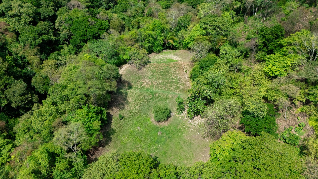 Prime Jungle Retreat with Sunset Views – Build Your Dream