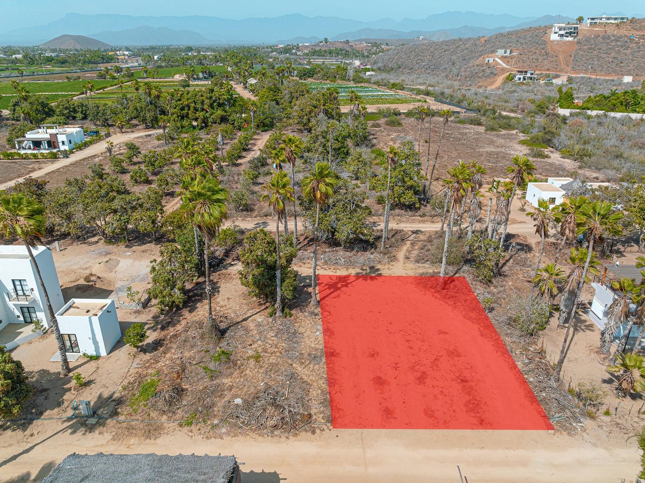 Huerta Hermosa Crudo Lot 702