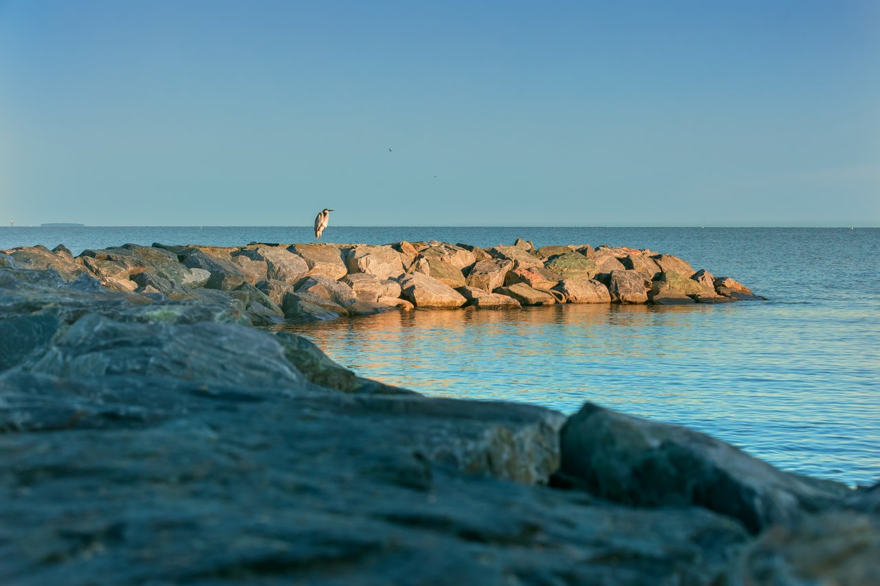 Save The Bay
