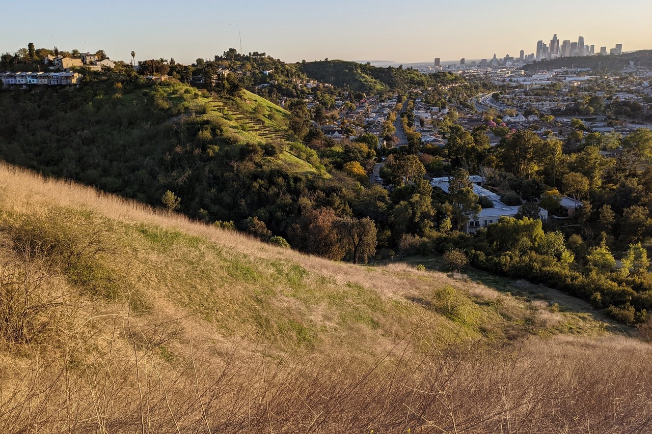 Montecito Heights hillside and homes overlooking downtown Los Angeles at golden hour.