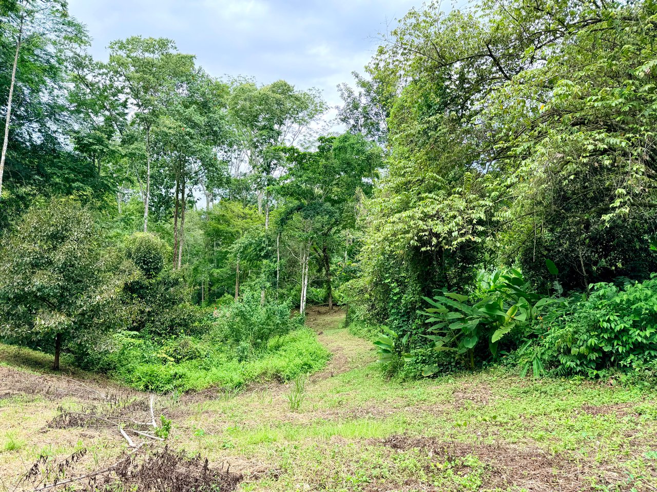La Unión Road Development – Buildable Lots with River Access in Uvita