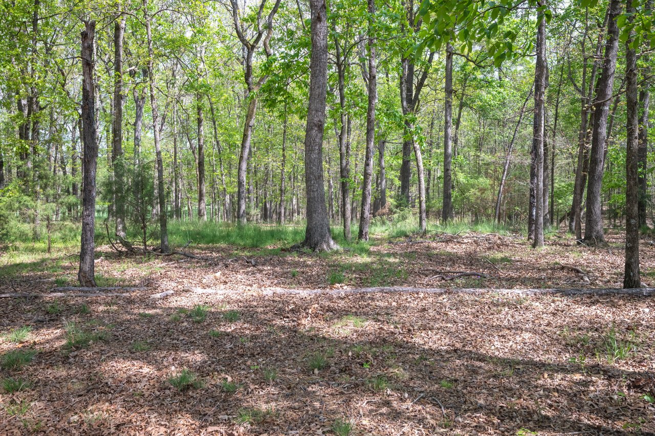 824 N Forest Hills School Rd