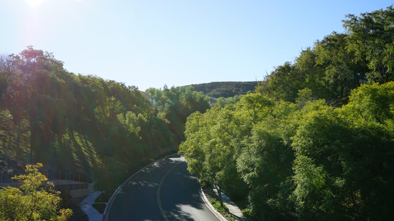 A curving road winds through tree-covered hills in bright sunlight.