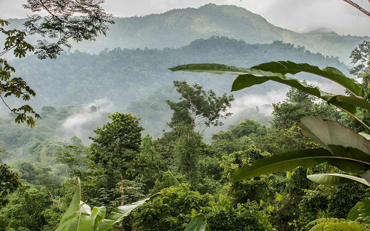 Finca Bellavista