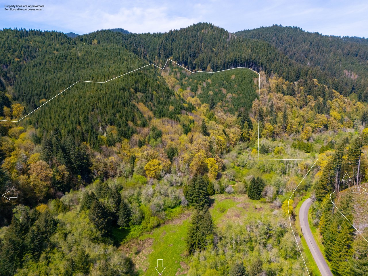 Nelson Mountain Meadows
