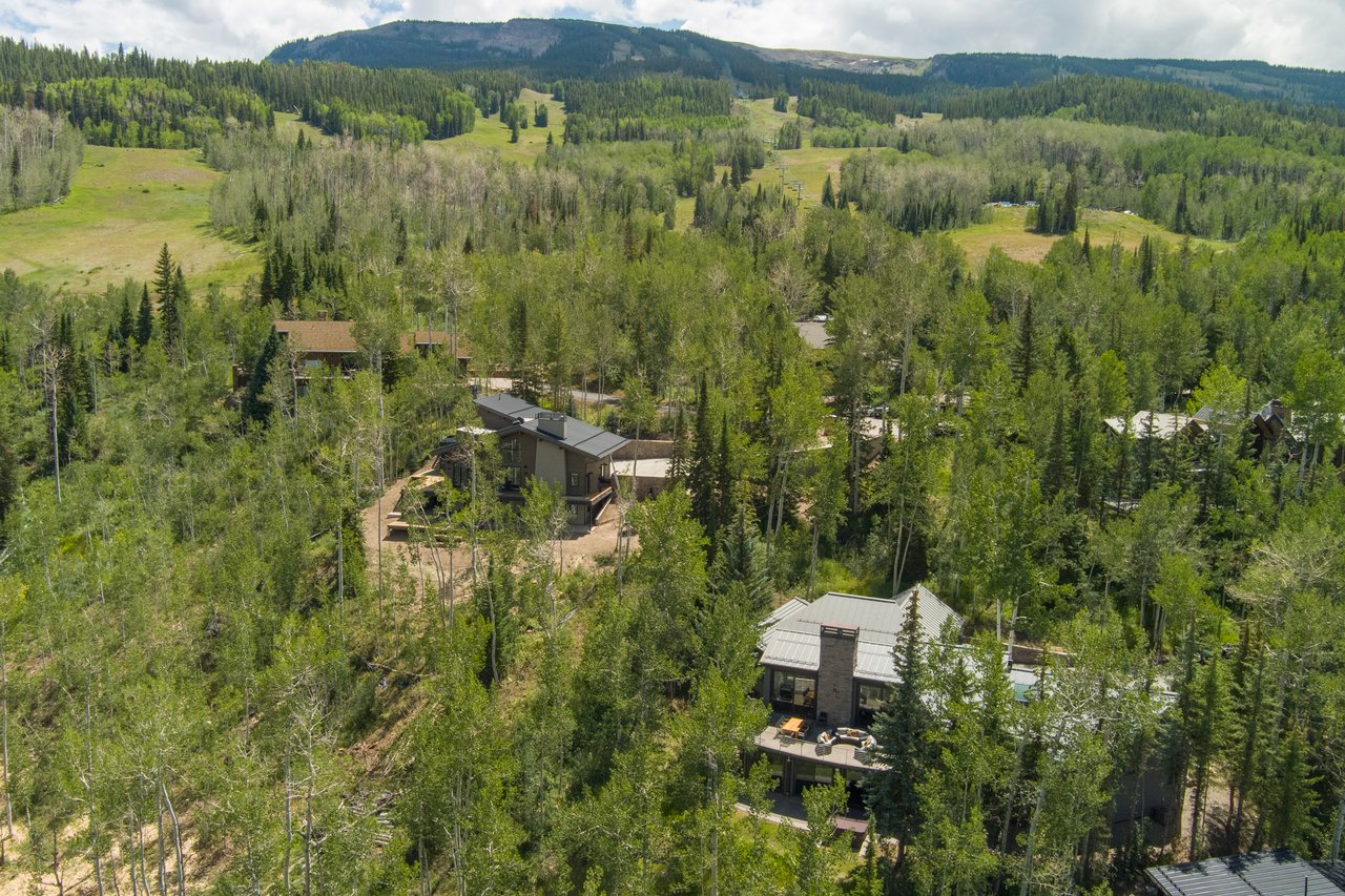 Aerial view of mountain homes among dense trees, with open ski runs and forested ridges beyond.
