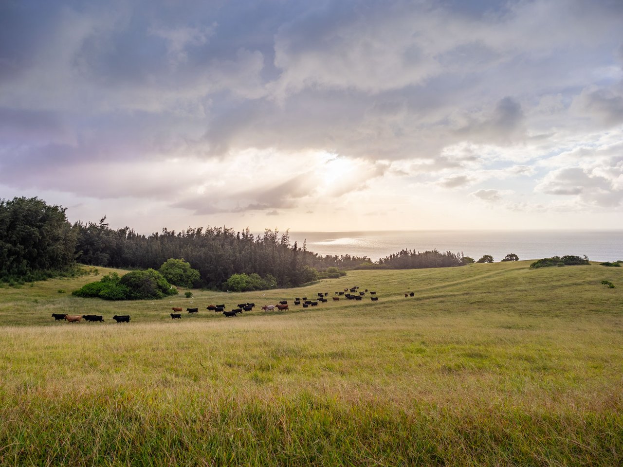 58-248 Kamehameha Hwy