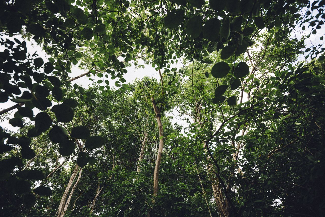  Punta Sabana & Mar Serena