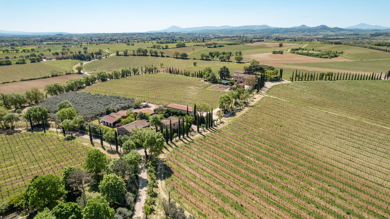 LA VIGNA ANTICA