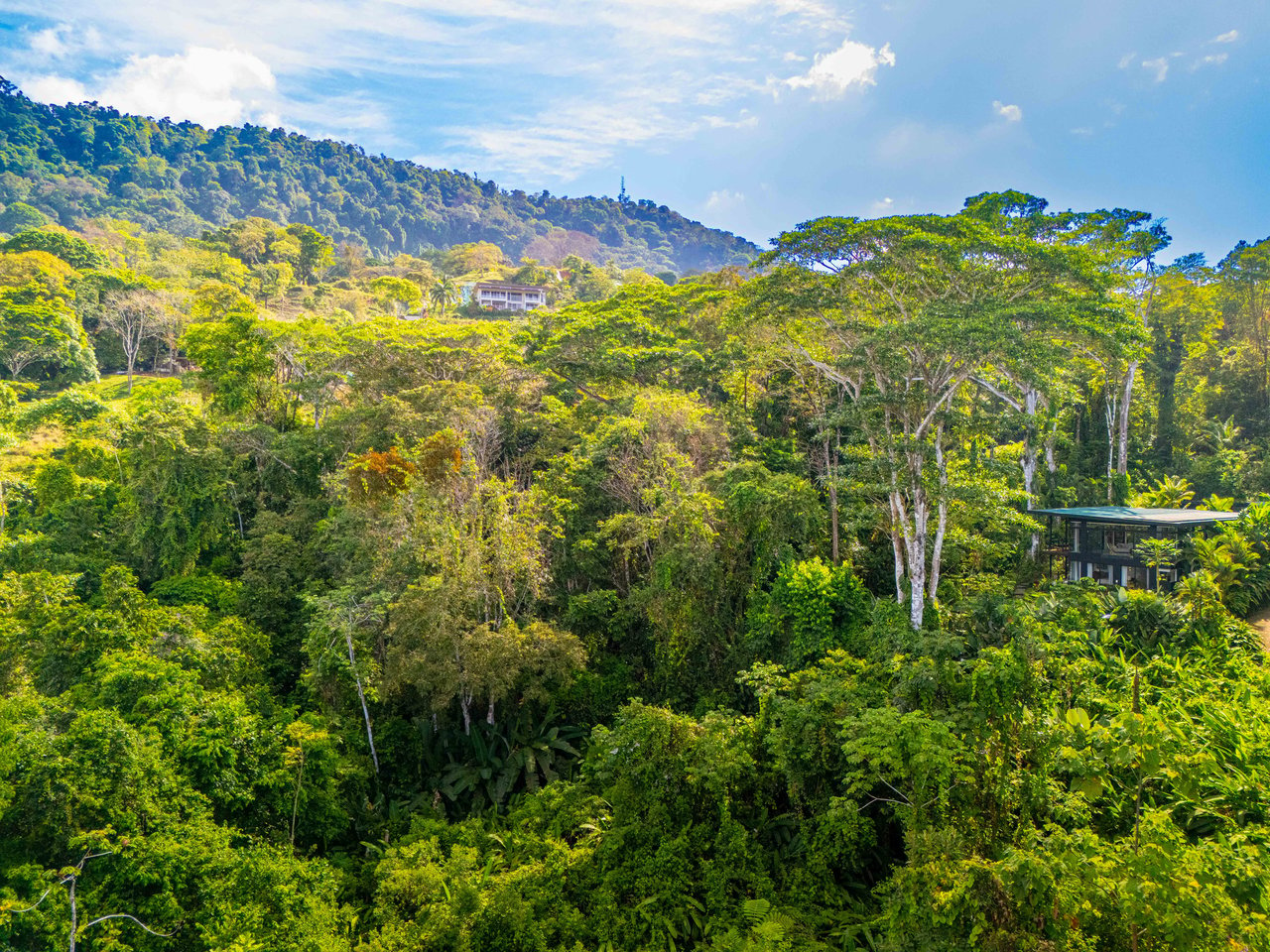 Escaleras Modern Elegance with Ocean Window Views and Jungle Tranquility, Dominical Costa Rica