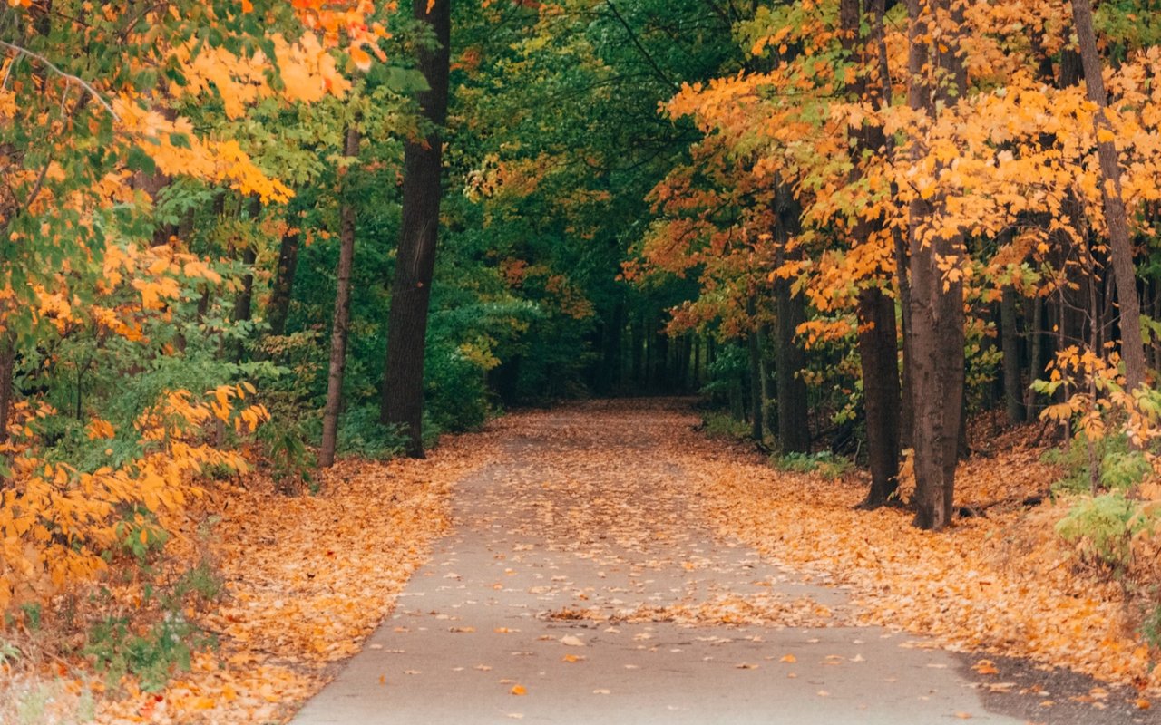 Best Fall Hikes Near Aledo