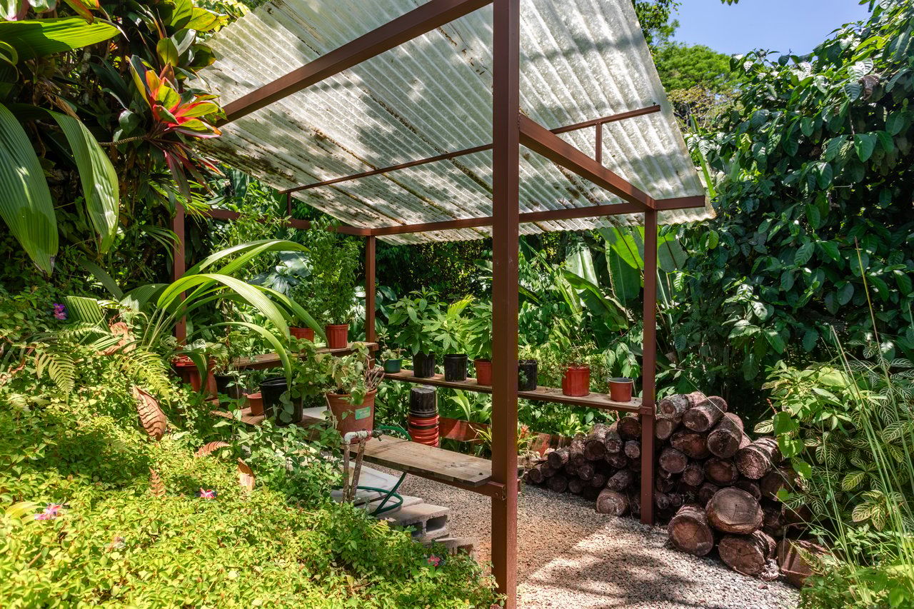 CasaPor Fin,Where the Rainforest Meets the Sea - Oceanview Luxury Estate