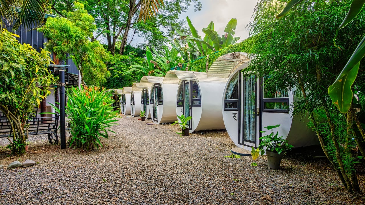 Turnkey Jungle Hostel with 16 Beds, Pool & Strong Revenue Potential Near Marino Ballena National Park