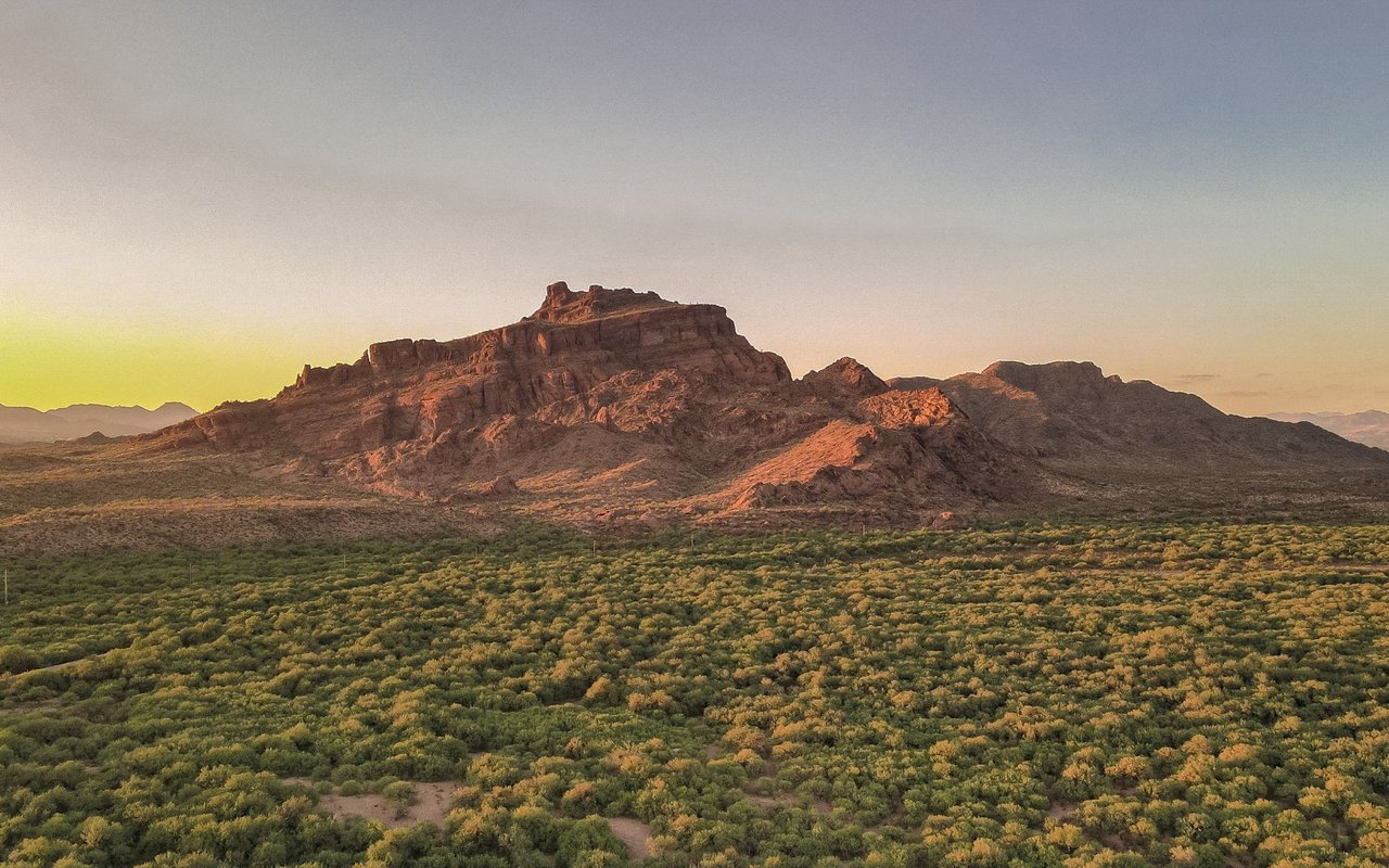 Mesa