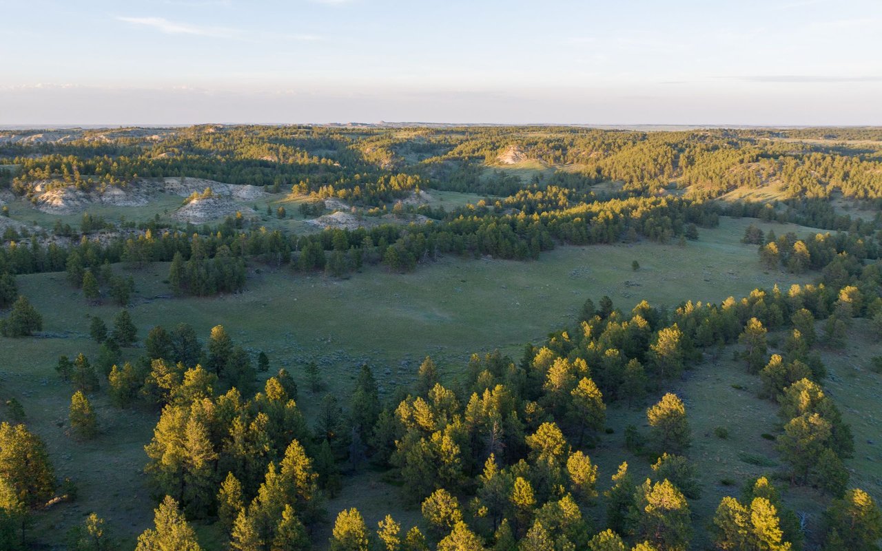 Elk Rich Ranch