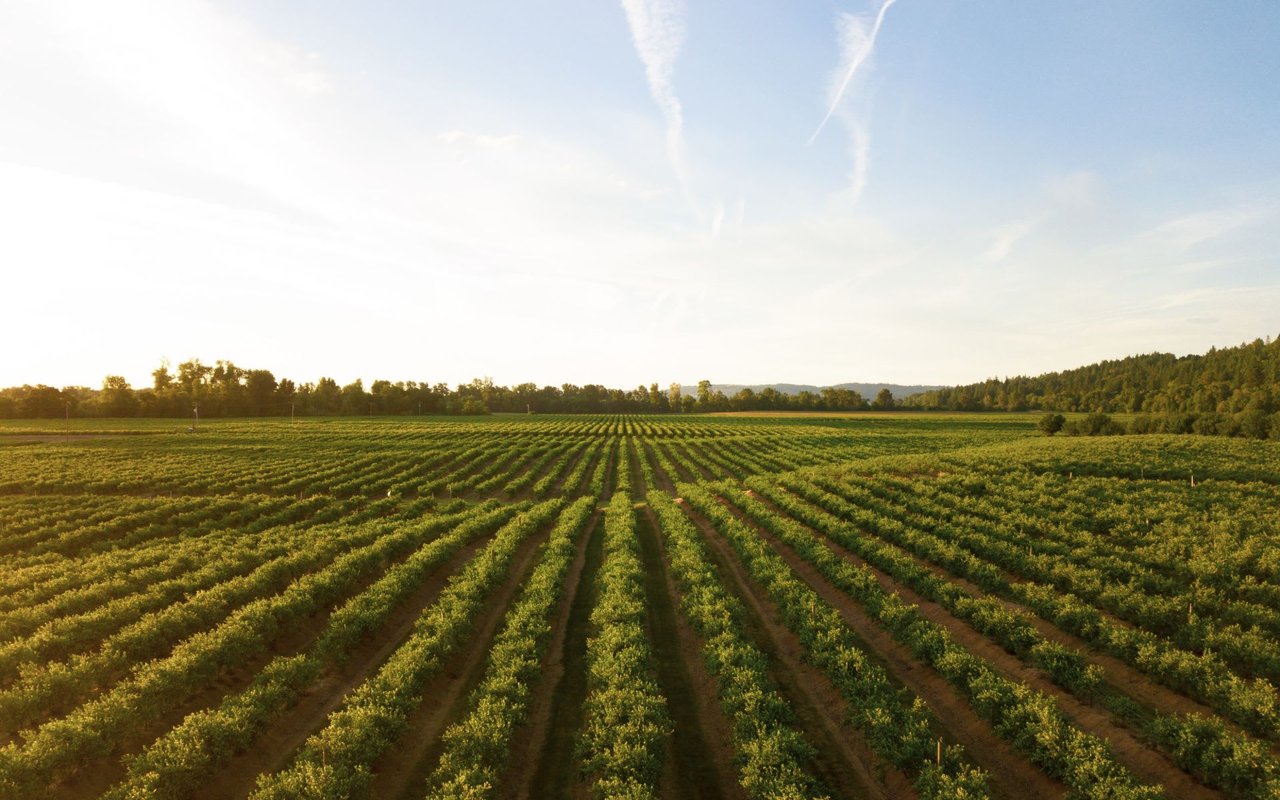 Carmel Valley Wine Tasting