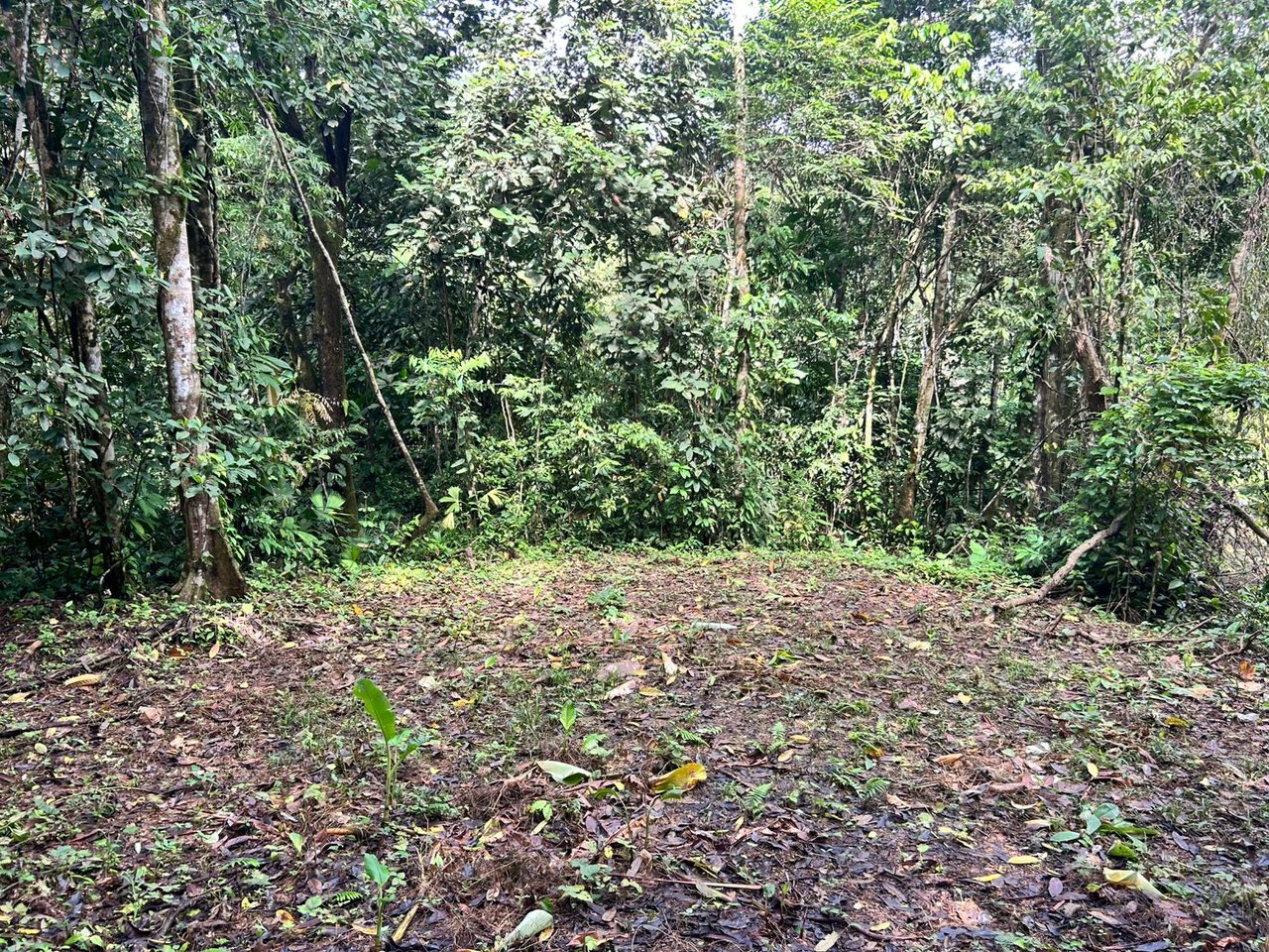 1.4-acre gated lot in Uvita.