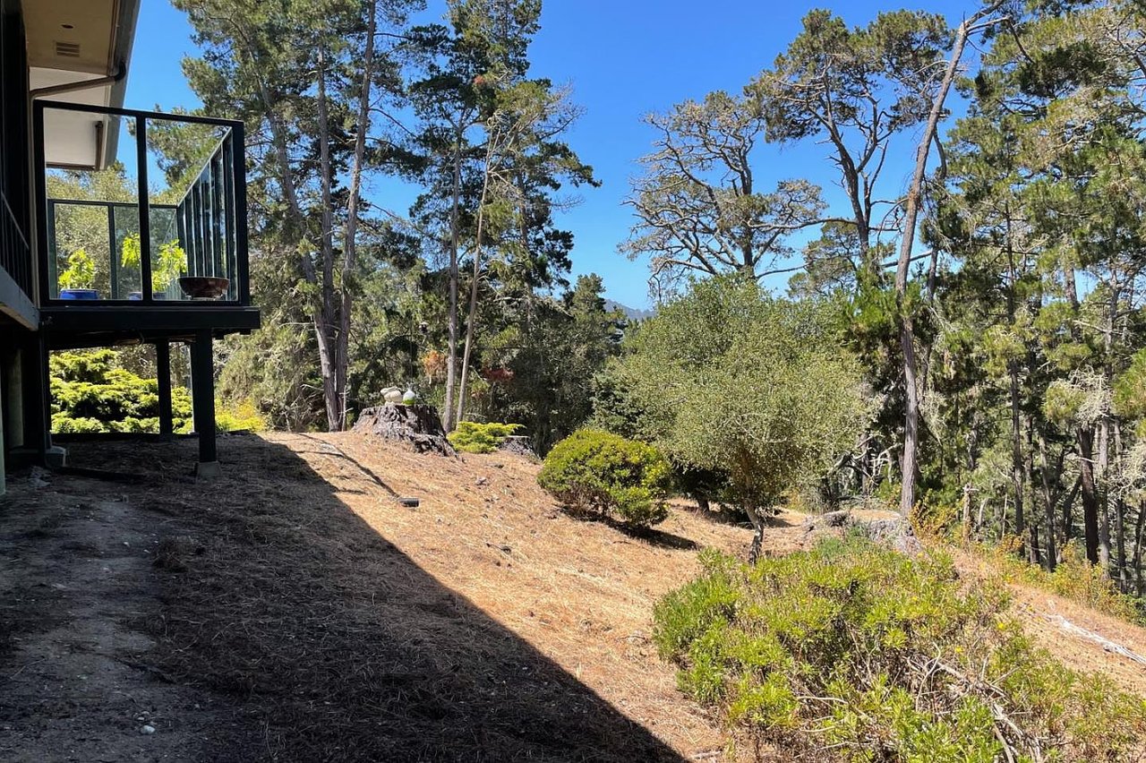 113 Del Mesa Carmel