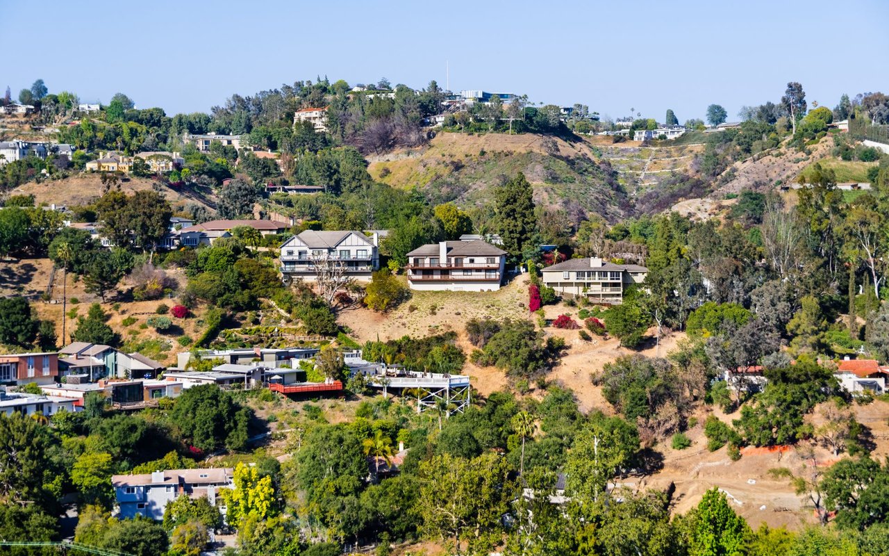 A hillside with houses and trees