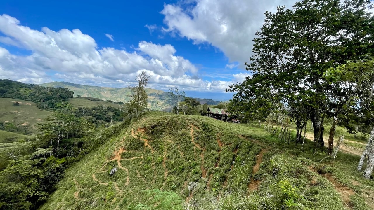 OVER 14 ACRES FARM IN ALTO DE GUADALUPE