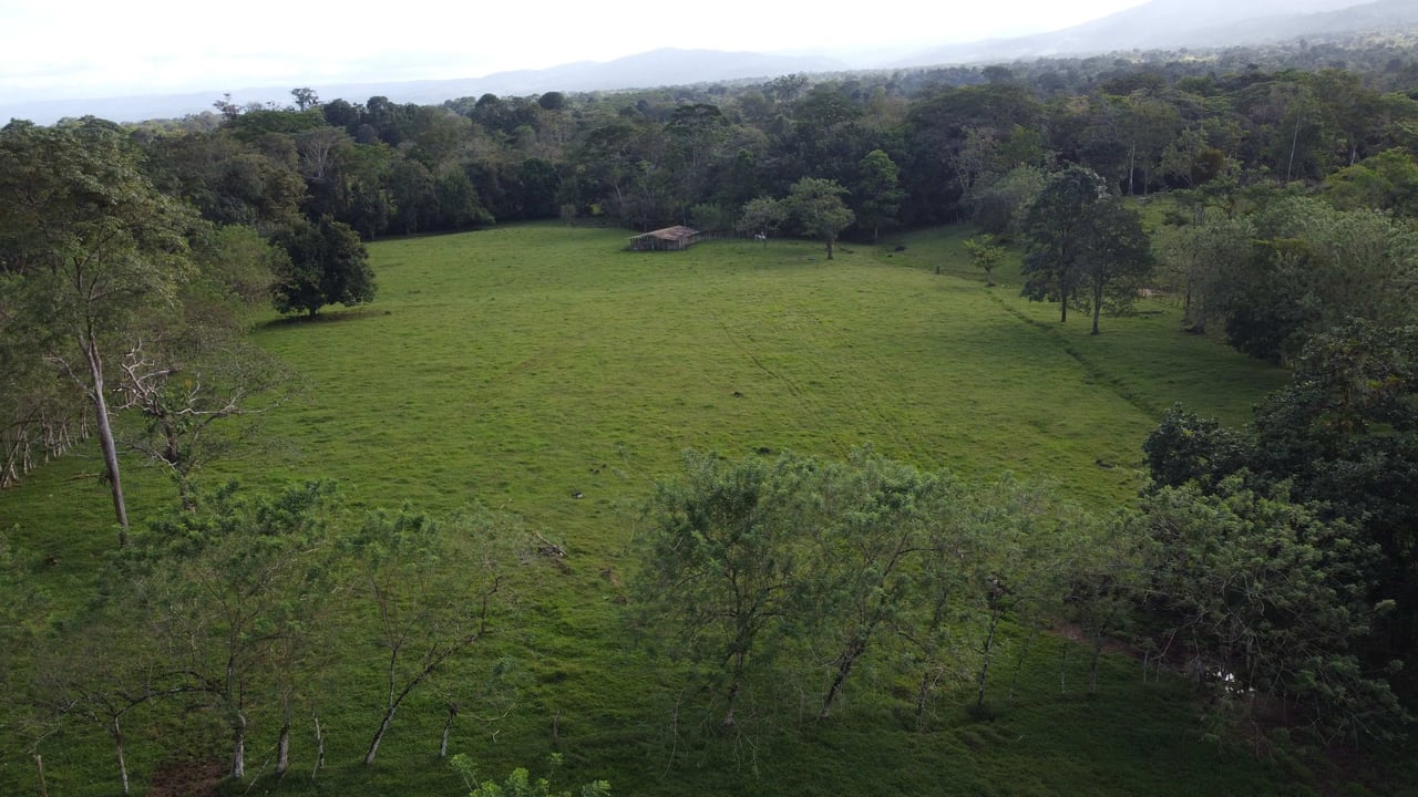 Rancho San Miguel | Enchanting Paradise; Your Ultimate Investment Opportunity in Buenavista de Guatuso, Katira!