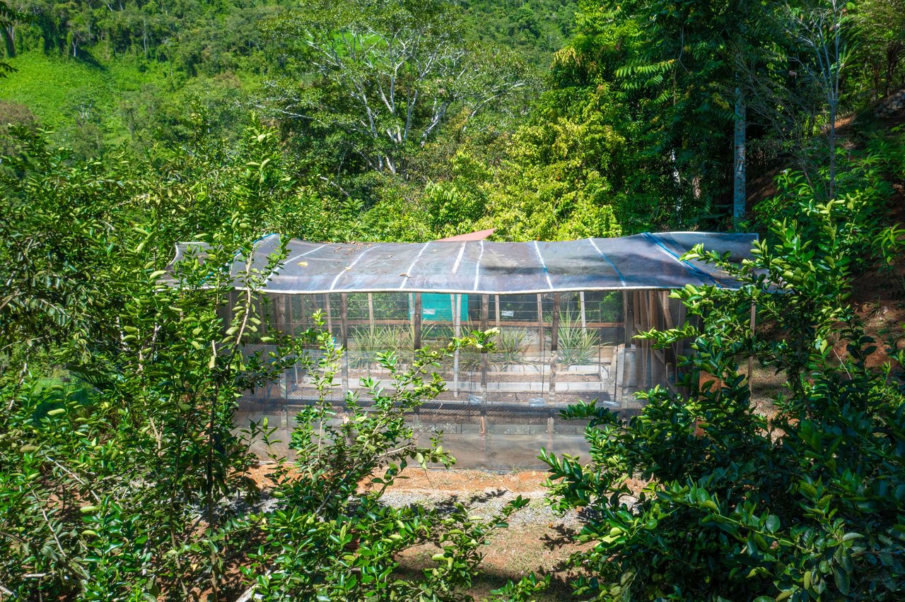 Secluded Dream Home in Costa Rica – Mountain Views, Pool & Sustainable Living