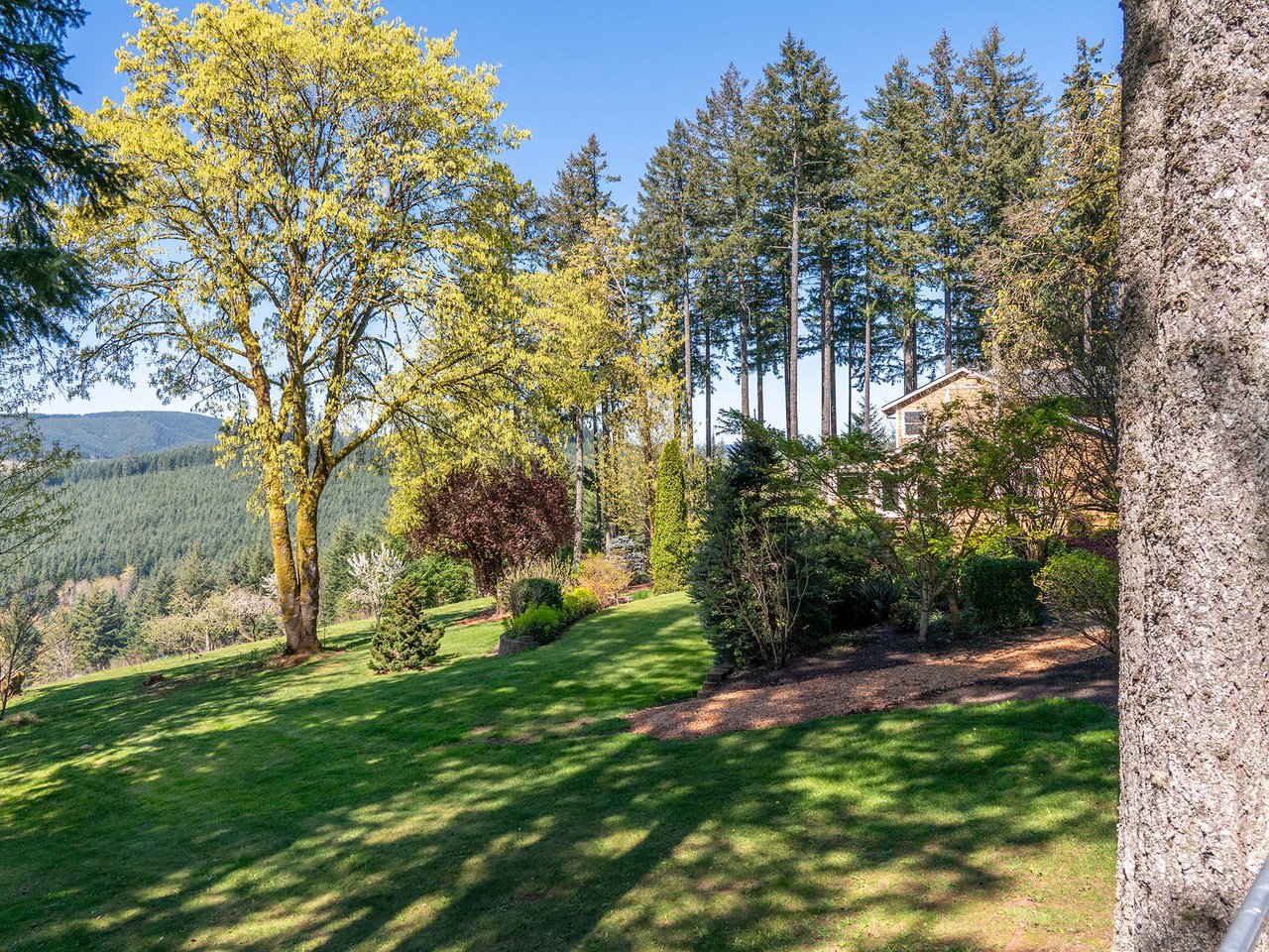 45045 NW ELK MOUNTAIN RD