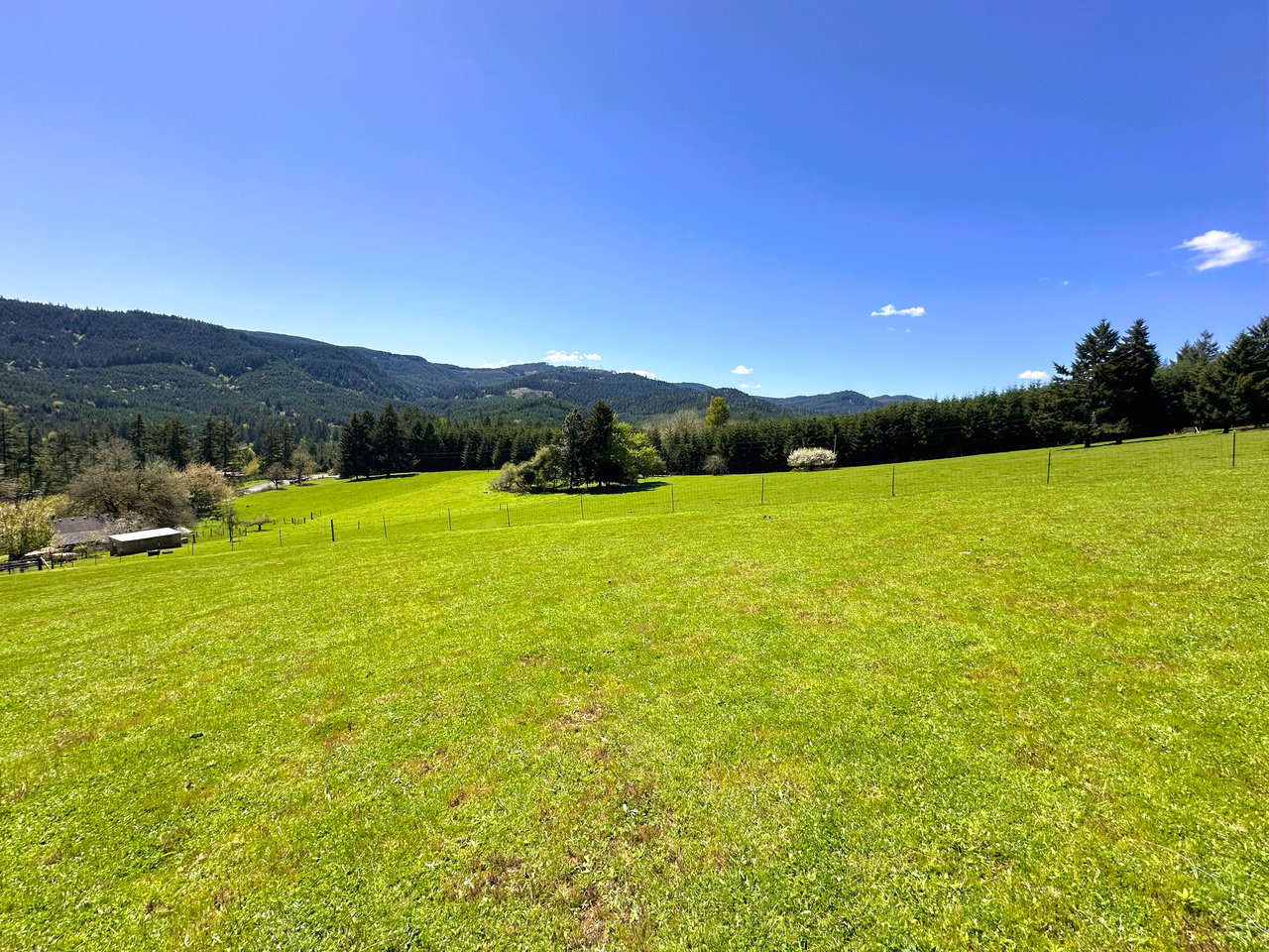 Panther Creek Homestead