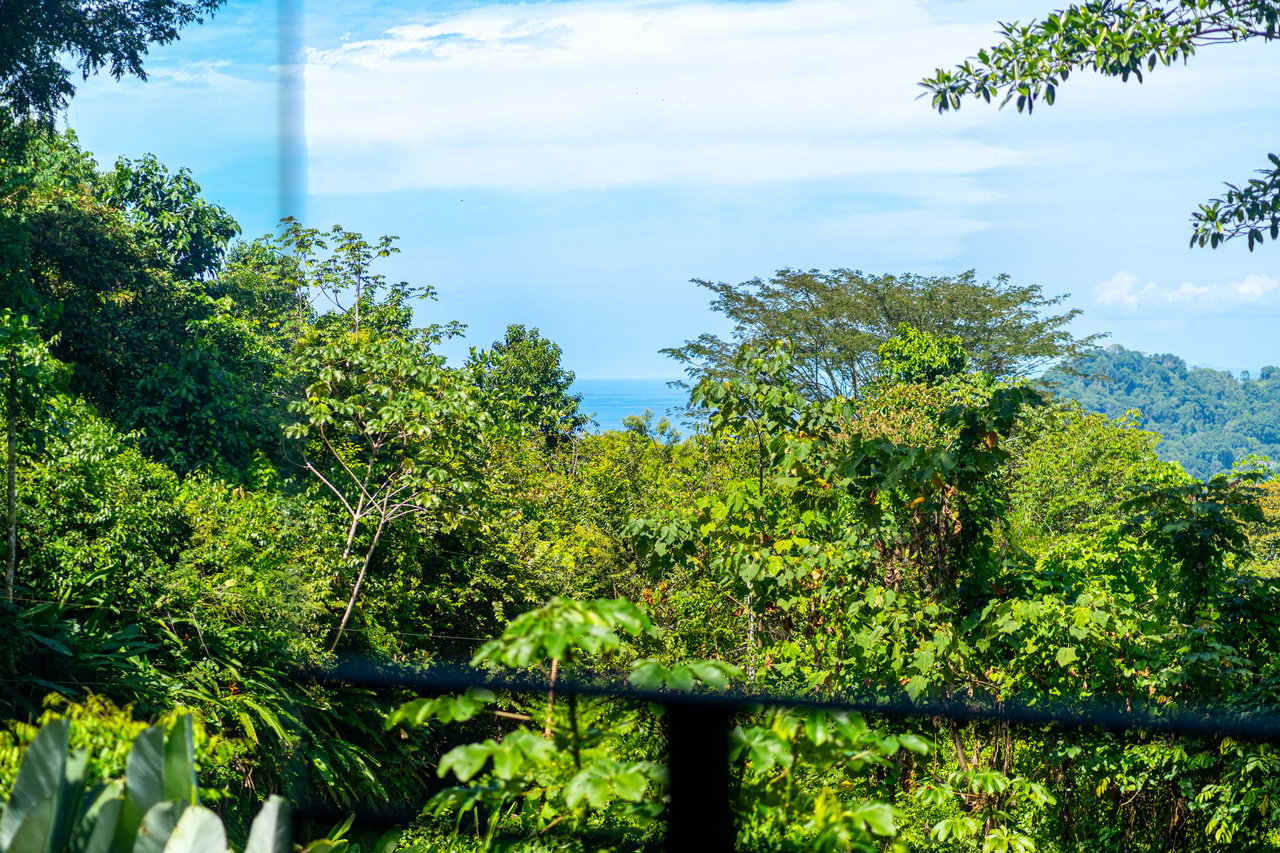 Escaleras Modern Elegance with Ocean Window Views and Jungle Tranquility, Dominical Costa Rica