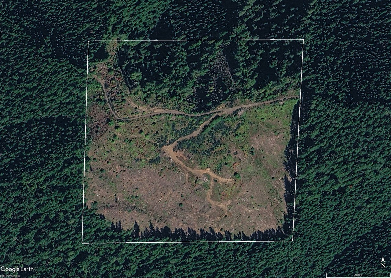 Smith River Back Woods