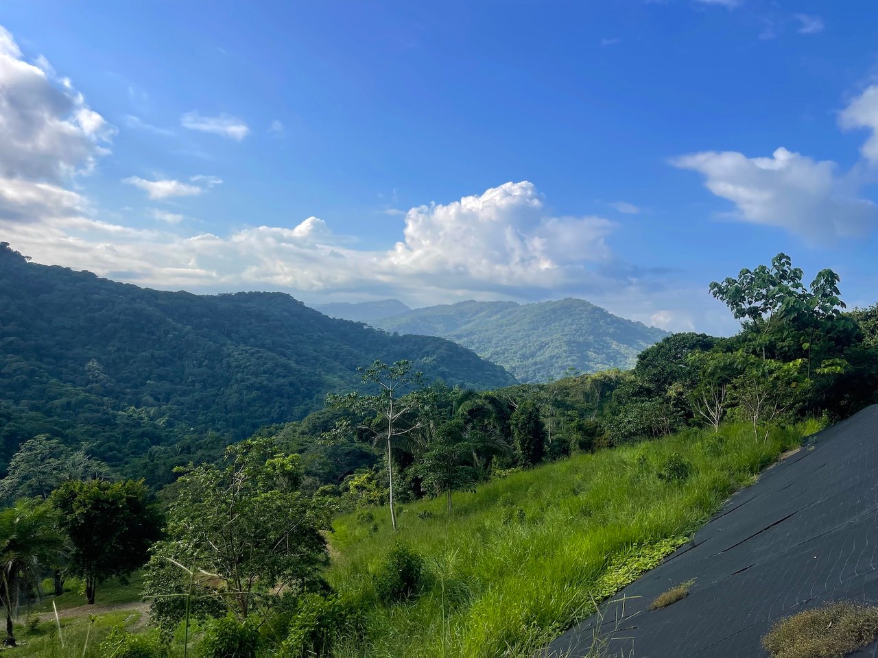 30-ACRES OF LAND WITH RIVER ACCESS, ROADS, AND BUILDING PADS IN LAGUNAS