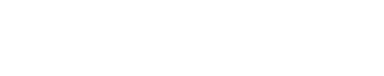 Light Logo