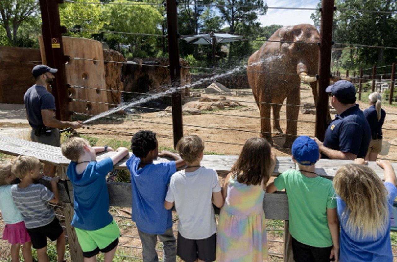 Zoo Atlanta’s Fall Safari Camp and the Keeper-for-a-Day program