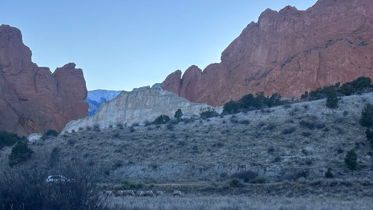 Garden of the Gods: Where Colorado Springs Comes Alive