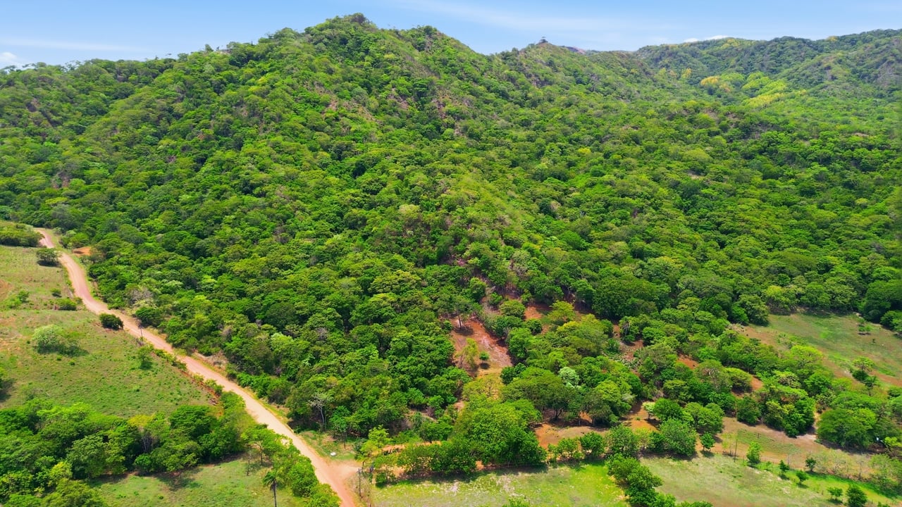3.4 Acres of Quiet Country Living | 12 minutes from the Beach - Tempate 