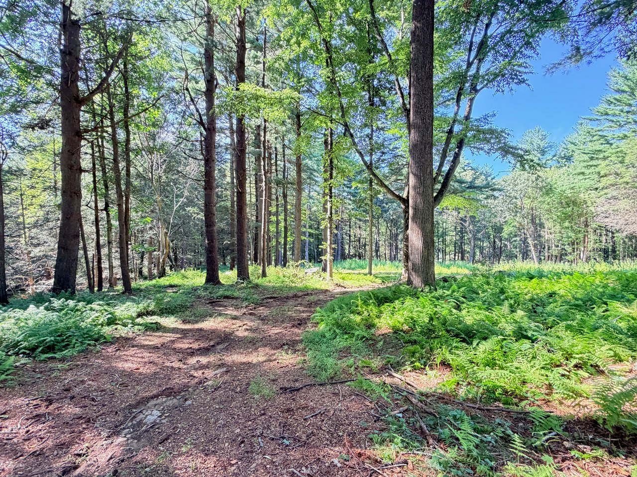 340 Haines Road