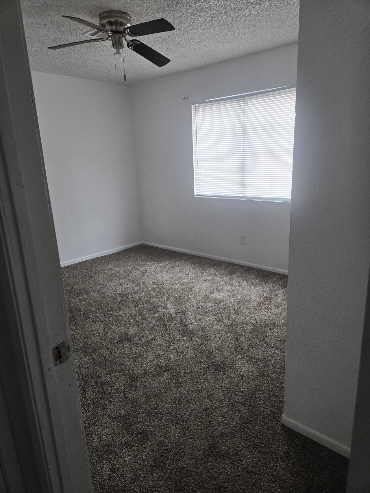 1954 Nebula Drive #286